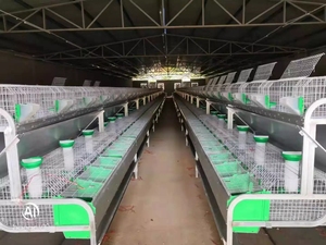 Lefeng – <span class=keywords><strong>cage</strong></span> de lapin d'élevage industriel, vente en gros, automatique, galvanisée à chaud, <span class=keywords><strong>design</strong></span> moderne - Product Image 4