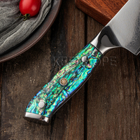 KEENHOPE Pisau Steak Profesional Jepang Damascus 4Pcs Set 67 Lapis Baja VG10 Pisau Dapur Tajam dengan Gagang Cangkang Abalone