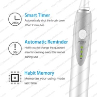 Brosse à dents électrique sonique en gros 31200 pulsations/min, 3 vitesses, étanche IPX7, longue autonomie, kit de 2 têtes de rechange pour voyage et hôtel