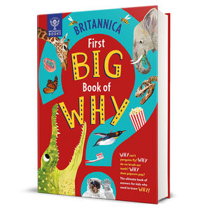 Services personnalisés pour enfants, coloriage à couverture rigide, sensation tactile de noël, planche <span class=keywords><strong>Pop</strong></span>-<span class=keywords><strong>Up</strong></span>, impression de livres sonores découpés - Product Image 1