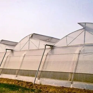 Serre à toit en forme de dents de scie, ventilée naturellement, haute résistance, durable, avec couverture résistante aux UV - Product Image 6