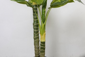 Cây Lụa Trang Trí Ban Công Golden Dieffenbachia, Cây Thường Xanh Nhân Tạo - Product Image 4