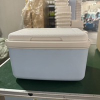 LIHENG Glacière isotherme rigide en plastique étanche 6L/12L/20L de type congélateur pour le camping, les pique-niques et les activités de plein air