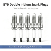Bougies d'allumage double iridium pour BYD Qin Plus Song Plus DM-i 1.5L, OE 13505385-00, allumage plus puissant, durée de vie ultra longue 100 000 km