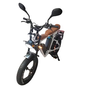 52V Xe đạp điện 1000W động cơ bafang Pin Kép 44ah chất béo lốp e-bike khung hợp kim nhôm nhanh chóng thành phố Xe đạp điện - Product Image 1