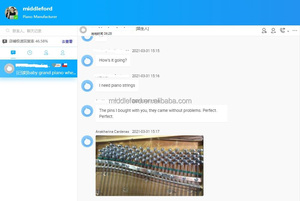 Parti di riparazione di accordatura Per pianoforte puntine di accordatura Per pianoforte acustico 7.2*60mm albero delle corde 220 pezzi Per unghie Per Set - Product Image 6