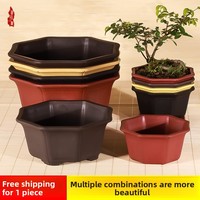 Pots à Bonsaï et Plantes Succulentes en Résine, Design Octogonal de Grande Taille, Style Simple