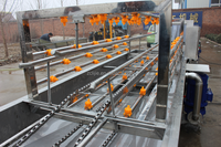 Iqf Bevroren Groente Fruit Wassen Blanching Verwerking Machine Lijn Lijie Merk Ljds2000 Model 380V Multifunctionele Motor Hoog
