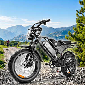 Pneumatici grassi bicicletta elettrica da 20 pollici telecomando bici elettrica modello adulto 1000W veloce bicicletta elettrica pendio spiaggia della collina - Product Image 3