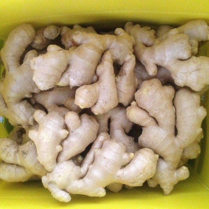 Gute Qualität getrocknete Masse frischen Ingwer Marktpreis pro Tonne Großhandel Ginger buyers für den Kauf getrockneten Ginger export aus China