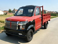 Mini camionnette électrique RHD avec benne à plateau pour ferme et ranch, véhicule utilitaire 4 roues, petit camion de transport, directement de l'usine