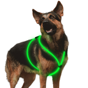 Harnais pour chien réfléchissant de sécurité DIY <span class=keywords><strong>LED</strong></span>, rechargeable par USB, fibre optique, tissu pour animaux de compagnie, pour promener le chien la nuit - Product Image 1