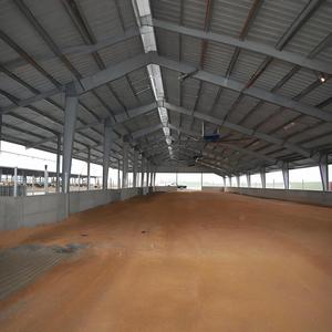 Capannone per allevamento di pollame struttura prefabbricata in acciaio per costruzione casa struttura in acciaio per mucca di pollo - Product Image 4