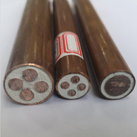 Cable de Cobre de Bajo Voltaje Resistente al Fuego, con Aislamiento de Minerales Inorgánicos y Cubierta de Cobre
