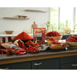 [Biggalchan 500g] Poudre de piment mélangée Golden Ratio pour une assaisonnement parfait, épices mélangées, poudre de piment rouge - Product Image 1