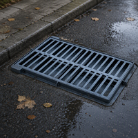 Grille de drainage rectangulaire en fonte nodulaire robuste pour le drainage des eaux des autoroutes