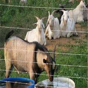 Vente Flash : Panneaux de clôture agricole carrés ondulés personnalisés anti-collision, galvanisés pour bétail et chevaux, clôtures de champ - Product Image 1