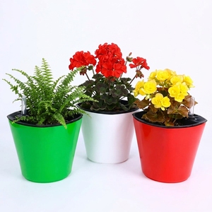Double Layer Heavy Duty PP <b>Plastic</b> Self Watering <b>Planter</b> Boxes with Water Indicator Bulk Sales Size 18 cm - Product Image 3