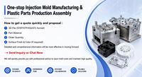 Fabricante de Moldes de Inyección para Luces Ambientales LED Automotrices, Servicio de Moldeo por Inyección de ABS y PP para Piezas LED Automotrices a Bajo Precio