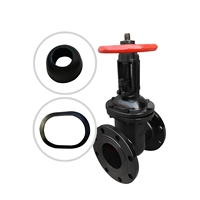Vanne à double disque en fonte grise Z44T PN10 avec disque en acier pour l'industrie chimique DN50 DN300 pour l'eau et la vapeur