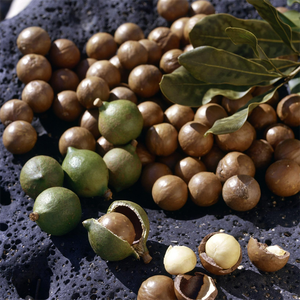 Aangepaste Biologische Macadamia Notenolie Ongeraffineerde <span class=keywords><strong>China</strong></span> Bulkfabriek, 1Kg Koudgeperste Macadamia Integrifolia Zaadolie 100 Puur Voor Haar - Product Image 3