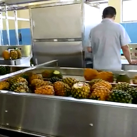 Ananasring- en -stukjesverwerkingslijn |   Automatische machine voor het ontpitten, schillen en snijden van geconserveerde ananas & fruit.