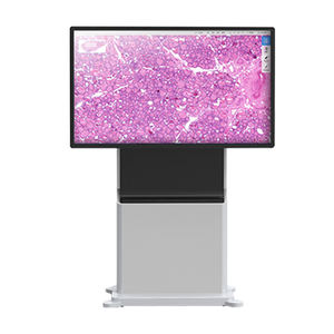 Sistema de Entrenamiento Médico IN-55, Mesa de Autopsia Virtual 3D, Sistema de Anatomía del Cuerpo Humano, Sistema Digital de Anatomía Humana - Product Image 2