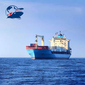 Contenedor DDP envío <span class=keywords><strong>Charleston</strong></span> EE. UU. Puerto Qingdao Shanghai Nansha Shekou Ningbo a través de carga marítima para 20 pies 40 pies LCL + Express - Product Image 5