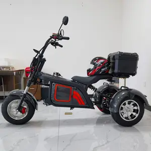 Trois Roues Scooter Lectrique Mobil Elektrik, Mobil Skuter Mobilitas Kabin 3 Roda 60V 2000W untuk Orang Tua