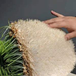 Lyine 1000kg/日オオムギ草成長室種子発芽輸送用飼料容器動物馬牛羊飼料用 - Product Image 3