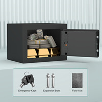 Coffre-fort en acier miniature 17e en gros, prix d'usine, casier électronique à code, petite boîte de sécurité personnalisable pour l'argent
