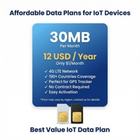 Tarjeta SIM 4G IoT para Rastreador GPS PC, 30MB Mensuales, Cobertura Global en Más de 190 Países, Activación Plug & Play, Plan Anual de 12 USD