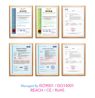 Réservoir d'encre 6300G 6301G 6302G 6303G 6701G 6702G cartouche d'encre Compatible Premium pour imprimante RISO Comcolor 3050 7050 CC7050
