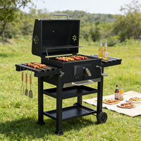 Barbecue chariot en acier inoxydable avec filtre à fumée pour le camping et l'extérieur
