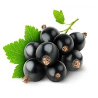 Voedingsmiddelkwaliteit, hoge zuiverheid, grote voorraad zwarte bessen fruitsappoeder, zwarte bessen fruitpoeder, volledig wateroplosbaar