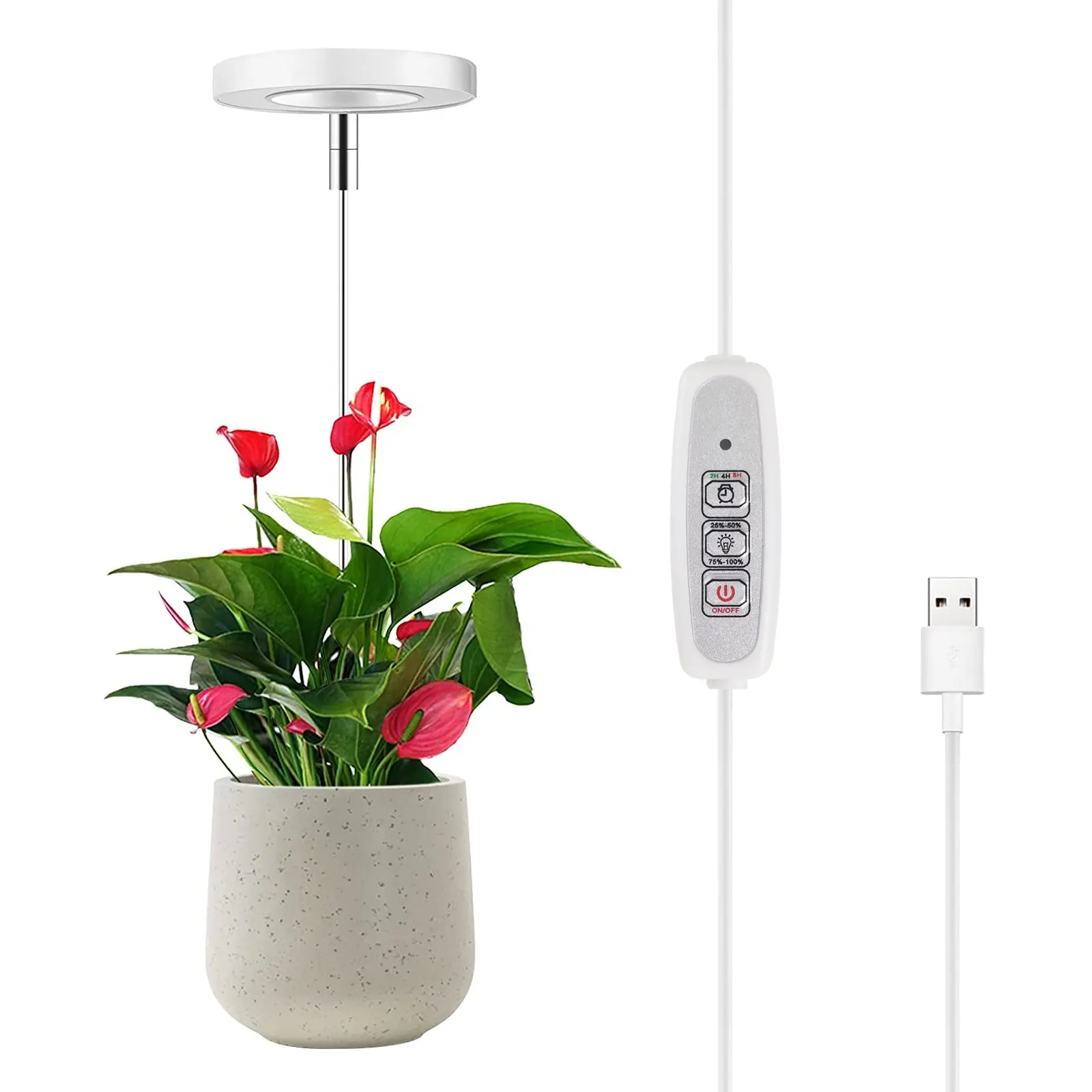 Liweida 5V 높이 조절 실내 천사 반지 성장 빛 자동 타이머 전체 스펙트럼 USB 단풍 식물 성장 램프