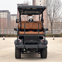 Voiture de golf électrique de fabrication professionnelle, modèle DC-H-F4+2, pour la chasse, rehaussée, 6 places, type buggy, vente en gros