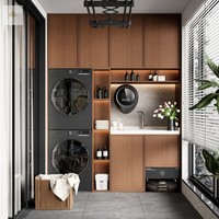 Armoire latérale de salle de bain de luxe haut de gamme meubles de salle de bain armoire d'évier de blanchisserie combinée armoire de Machine à laver étanche