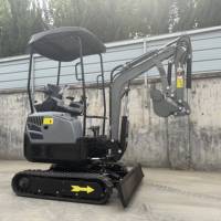 Mini-excavatrice personnalisée de 1 tonne, 2 tonnes, Euro5, mini-pelle, livraison gratuite, micro-excavatrice, moteur Kubota, mini-excavatrices de jardin à vendre