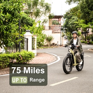 Bicicleta Todoterreno de 20 Pulgadas con Llantas Gruesas de Alta Calidad / Bicicleta Eléctrica OEM para Adultos E MTB MS600L con Batería en el Tubo Inferior E-bike MS60 - Product Image 4