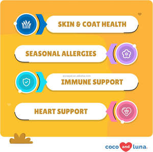 Suppléments pour animaux de compagnie Solutions OEM Traitements des infections des voies urinaires Santé des voies urinaires Produits et suppléments de soins de santé pour animaux de compagnie - Product Image 3