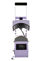 Machine d'impression semi-automatique 2-en-1 avec écran LCD et presse à chaud double tension pour transfert thermique