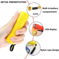 Vente chaude Mini LED Mini lampe de poche en plastique Cadeaux pour enfants Torche promotionnelle Lampe Torch