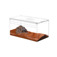 Vente en gros de cage à tarentule personnalisée pour petit animal de compagnie boîte à reptiles en plexiglas pour alimentation en araignée à sauter boîtier en acrylique transparent