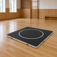 Tapis de combat robuste en PVC 2026 - Tapis de lutte MMA pliable, marqueur d'impact, mousse multicouche, 4x4m, anthracite