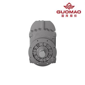 <span class=keywords><strong>Guomao</strong></span> F ชุดเกียร์ขดลวดแบบขนานแรงบิดสูงมอเตอร์เกียร์เหล็กหล่อ0.12 110kW - Product Image 5