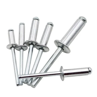 Venta al por mayor de remaches ciegos de extremo abierto de aluminio/acero, remaches ciegos de extremo abierto 4.8X16mm