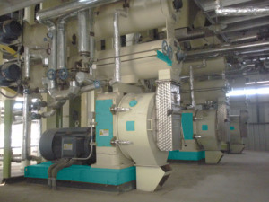 Máquina de Pellets de Biomasa Confiable de Sudáfrica para la Producción de Pellets de Aserrín de Madera para Combustible y Lecho - Product Image 4
