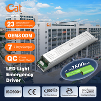 Driver d'urgence à haute performance pour éclairage LED 85V-265V 5-20W, alimentation de secours maintenue pour éclairage d'urgence