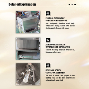 Macchina Intelligente per l'Estrazione della Polpa <span class=keywords><strong>da</strong></span> Datteri con Controllo PLC, Polpificatore per Datteri <span class=keywords><strong>da</strong></span> Palma per Linee di Produzione Industriale - Product Image 4